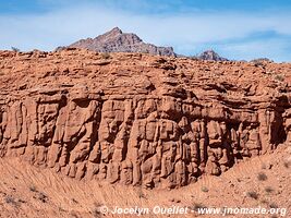 Parque Nacional Los Cardones - Argentine