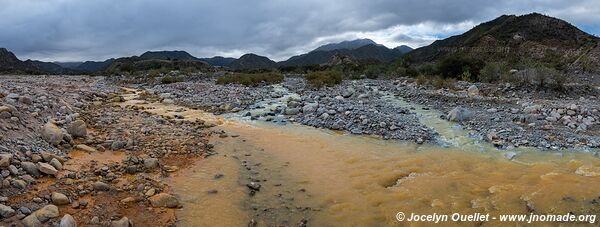 Route de Chilecito à Guanchín - Argentine