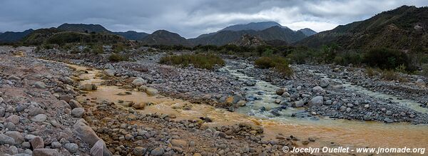 Route de Chilecito à Guanchín - Argentine