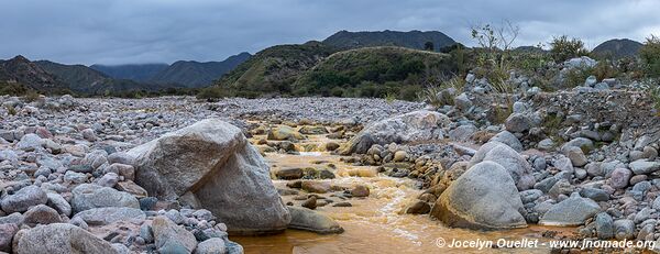 Route de Chilecito à Guanchín - Argentine