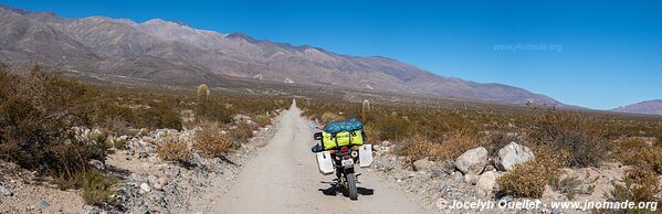 Route de Punta de Balasto à Andalgalá - Argentine