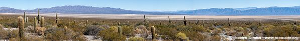 Route de Punta de Balasto à Andalgalá - Argentine