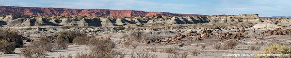 Parque Provincial Ischigualasto - Argentine