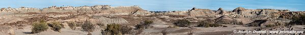 Parque Provincial Ischigualasto - Argentine