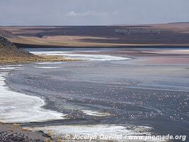 Lagunas Route - Bolivia