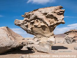 Route des lagunes - Bolivie