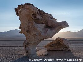 Route des lagunes - Bolivie