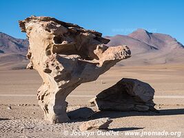 Route des lagunes - Bolivie