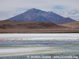 Route des lagunes - Bolivie