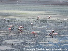 Lagunas Route - Bolivia