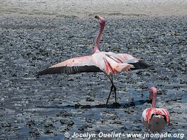 Lagunas Route - Bolivia