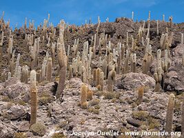 Salar de Uyuni - Bolivia