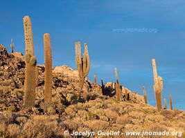 Salar de Uyuni - Bolivia