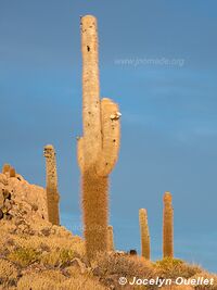 Salar de Uyuni - Bolivia