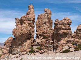 Route des lagunes - Bolivie