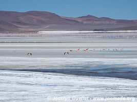 Route des lagunes - Bolivie