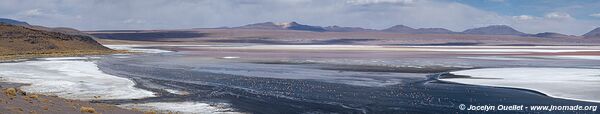 Lagunas Route - Bolivia