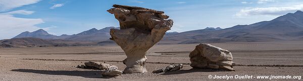 Route des lagunes - Bolivie