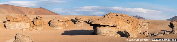 Route des lagunes - Bolivie