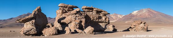 Route des lagunes - Bolivie