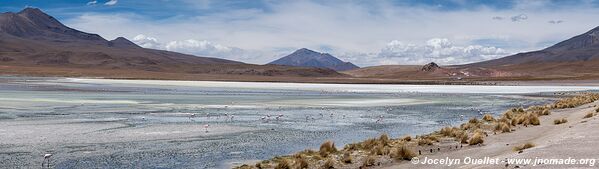 Route des lagunes - Bolivie