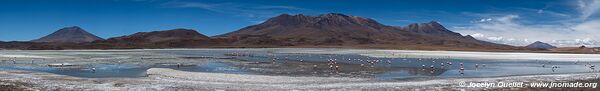 Route des lagunes - Bolivie