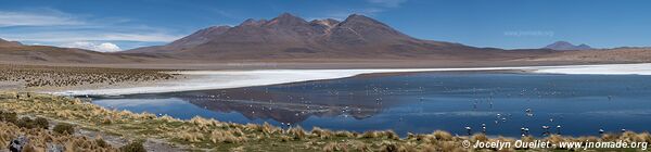 Route des lagunes - Bolivie