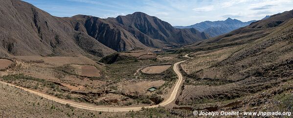 Reserva Nacional de Flora y Fauna Tariquía - Bolivie