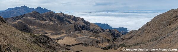 Reserva Nacional de Flora y Fauna Tariquía - Bolivie