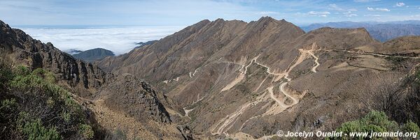 Reserva Nacional de Flora y Fauna Tariquía - Bolivie