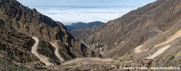 Reserva Nacional de Flora y Fauna Tariquía - Bolivia