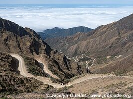 Reserva Nacional de Flora y Fauna Tariquía - Bolivia