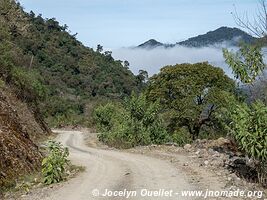 Reserva Nacional de Flora y Fauna Tariquía - Bolivia