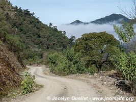 Reserva Nacional de Flora y Fauna Tariquía - Bolivie