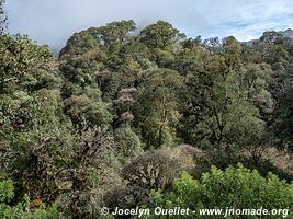 Reserva Nacional de Flora y Fauna Tariquía - Bolivia