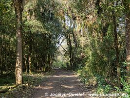 Reserva Nacional de Flora y Fauna Tariquía - Bolivia