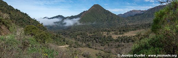 Reserva Nacional de Flora y Fauna Tariquía - Bolivie