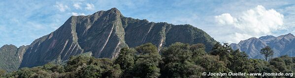 Reserva Nacional de Flora y Fauna Tariquía - Bolivie