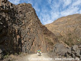 Reserva Nacional de Flora y Fauna Tariquía - Bolivie