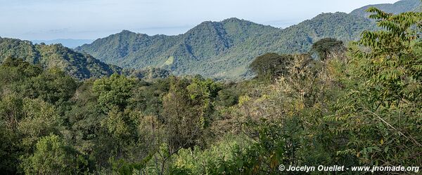 Reserva Nacional de Flora y Fauna Tariquía - Bolivia