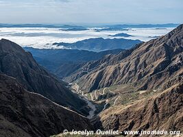 Reserva Nacional de Flora y Fauna Tariquía - Bolivie