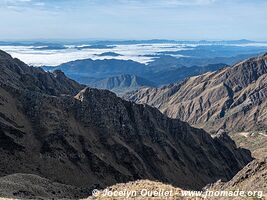 Reserva Nacional de Flora y Fauna Tariquía - Bolivie