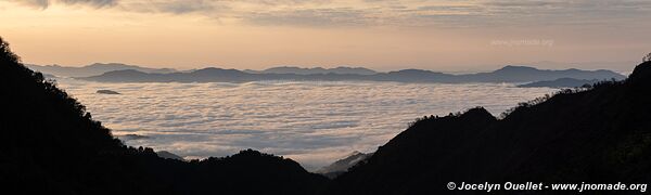 Reserva Nacional de Flora y Fauna Tariquía - Bolivie