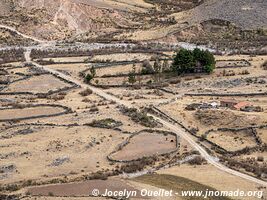 Réserve biologique Cordillera de Sama - Bolivie