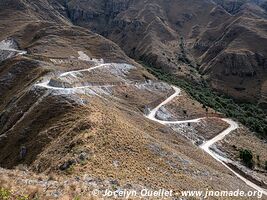 Réserve biologique Cordillera de Sama - Bolivie