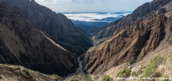 Reserva Nacional de Flora y Fauna Tariquía - Bolivie