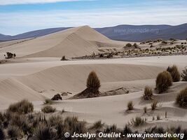 Réserve biologique Cordillera de Sama - Bolivie