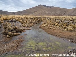 Réserve biologique Cordillera de Sama - Bolivie