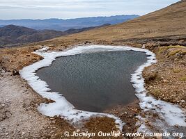 Réserve biologique Cordillera de Sama - Bolivie