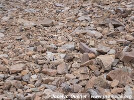 Réserve biologique Cordillera de Sama - Bolivie